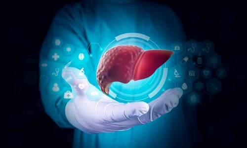 shutterstock 2473715105 jpg