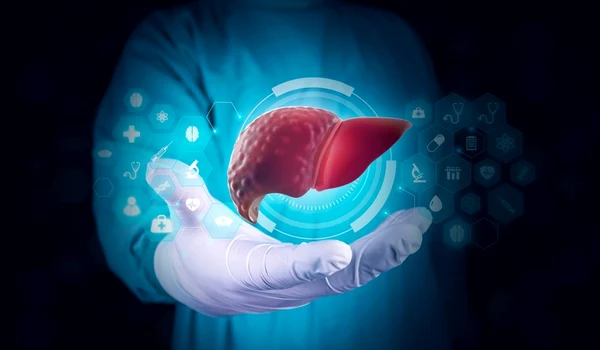 shutterstock 2473715105 jpg