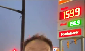 dan negru canada jpg