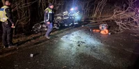 accident dulcești jpg