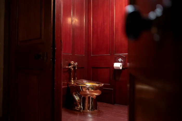 În ciuda aparențelor, WC-ul era perfect funcțional