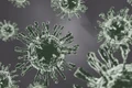virus jpg
