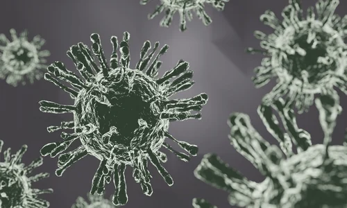 virus jpg