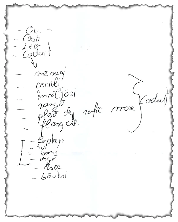 Ovi, Costi, Leo şi Codruţ şi-au făcut conştiincioşi notiţe înainte de a da lovitura. Ei şi-au notat obiectele necesare spargerii, dar şi ce trebuia să fure din club