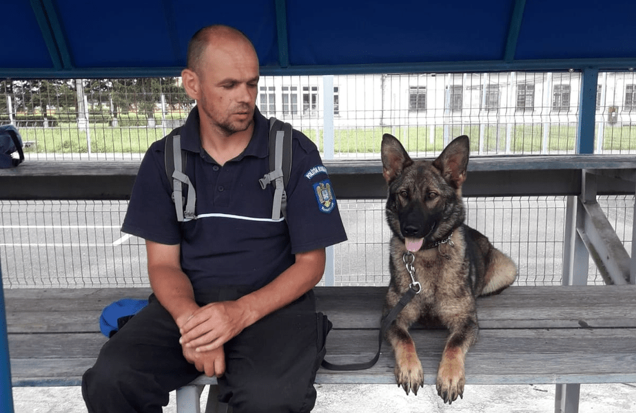 Câinii antrenați pentru a face treaba a 10 polițiști. De instruirea lor se ocupă cei mai buni instructori