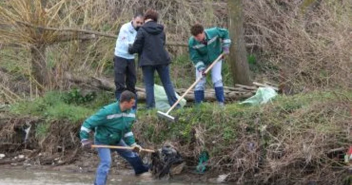 Iaşi: Voluntarii ecologizează zona Ciurbeşti