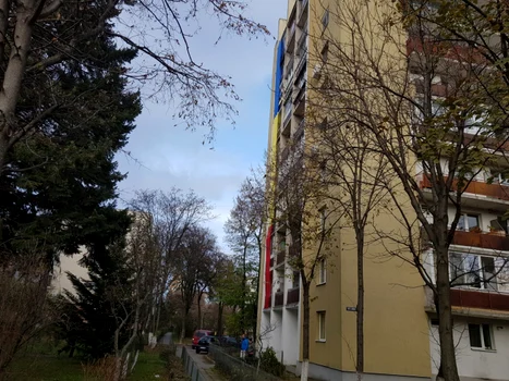 cluj tricolor. foto remus florescu