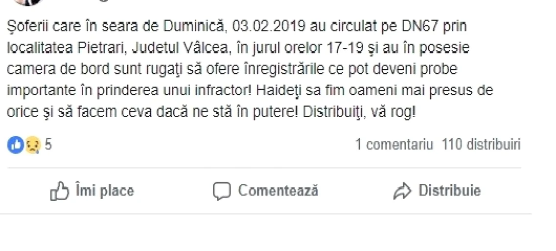 Mesajul prin care familia poliţistei care a rămas fără pistolul furat de acasă în timp ce era la serviciu - cere ajutor pe Facebook pentru identificarea spărgătorilor Foto FB Elena Andreea Dina