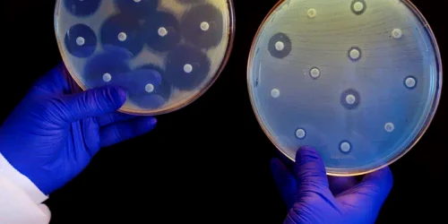 Pericolul superbacterilor rezistente la medicamente. FOTO The Guardian