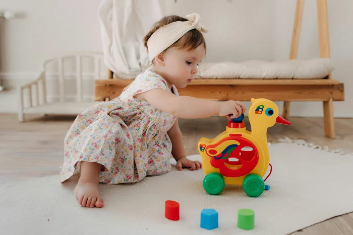 Nichiduta o jucarie de la nichiduta ro Adevarul ro (1) png