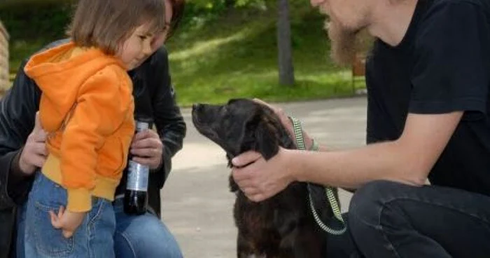 Sibienii au "înfiat" 40 de animăluţe la târgul de Crăciun de iarna trecută.