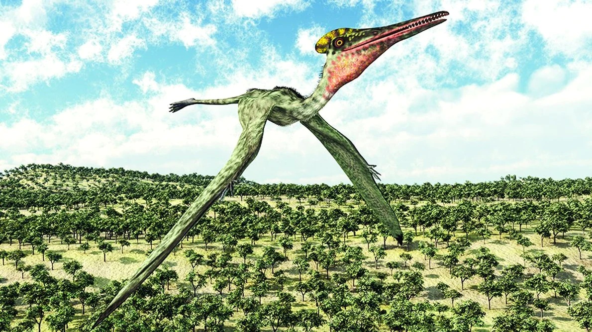 O nouă specie de pterozaur, identificată în Australia  jpeg
