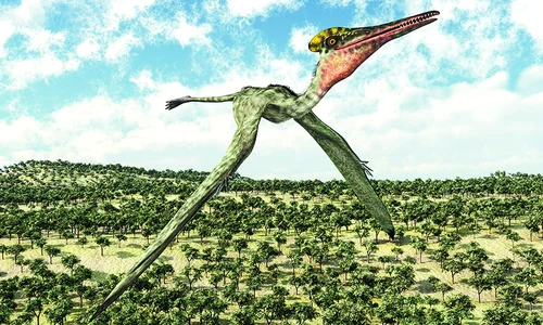 O nouă specie de pterozaur, identificată în Australia  jpeg