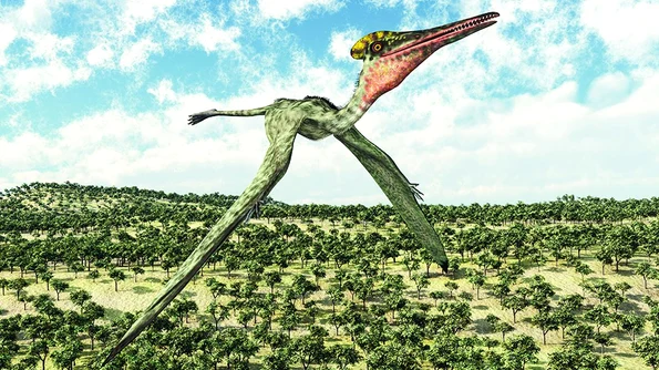 O nouă specie de pterozaur, identificată în Australia  jpeg