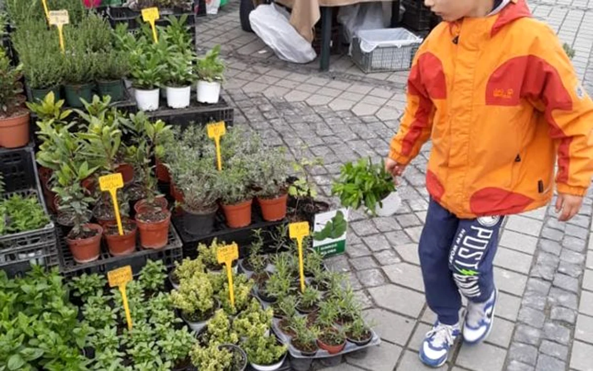 familia care cultivă goji - foto arhiva personală