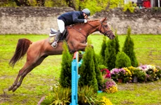 Karpatia Horse Show. Sursa foto: advertorial