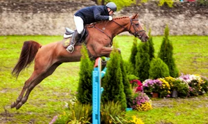 Karpatia Horse Show. Sursa foto: advertorial