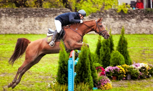 Karpatia Horse Show. Sursa foto: advertorial