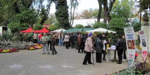 Festivalul Florilor a scos lumea la plimbare în Grădina Mare