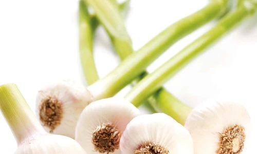 1 65096 original jpg jpeg