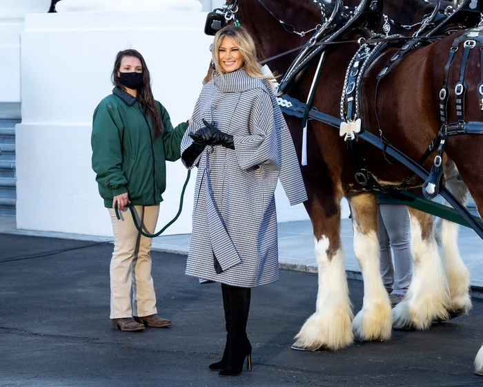 4 profimedia 0570728191 jpg jpeg