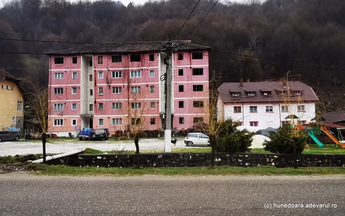 Rușchița  Foto Daniel Guță  ADEVĂRUL (56) jpg