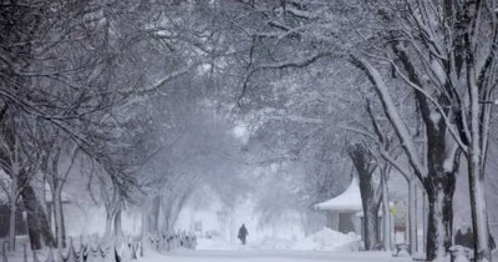 Snowmageddon în Washington DC