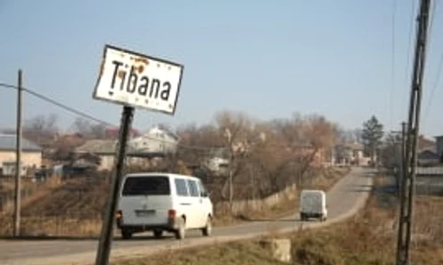 comuna tibana jpeg
