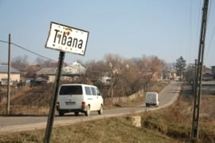 
    Scenele s-au petrecut în satul Domnița din comuna ȚibanaFoto: ziare.com  