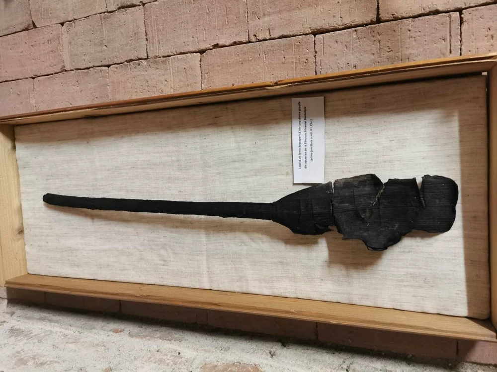 O lopată din lemn din Epoca bronzului, descoperită pe traseul Autostrăzii Transilvania (foto: Muzeul Județean de Istorie și Artă Zalău)