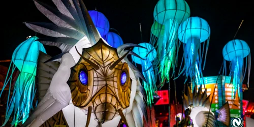 NEVERSEA 2019 - ultima zi Sursa Neversea