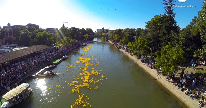 Cursa Răţuştelor de pe canaul Bega FOTO: Eye In The Sky