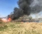 Incendiu de vegetaţie în Parcul Natural Văcăreşti foto isu