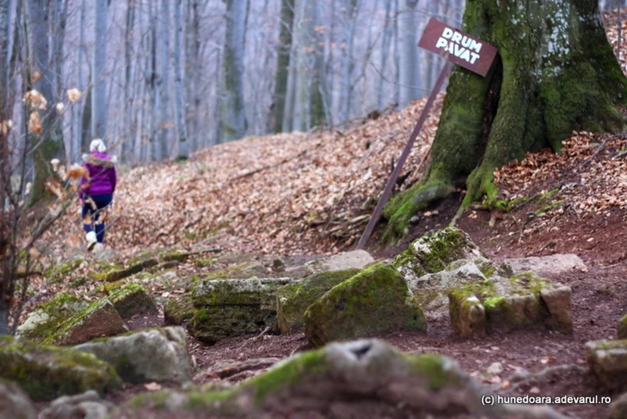 Urmele drumului pavat din Piatra Roşie. FOTO: Daniel Guţă. ADEVĂRUL.