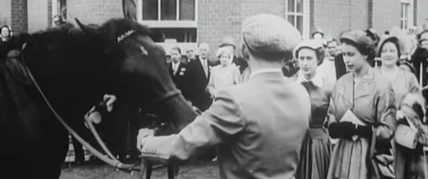 Royal Ascot   Caii Reginei jpeg
