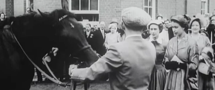 Royal Ascot Caii Reginei jpeg