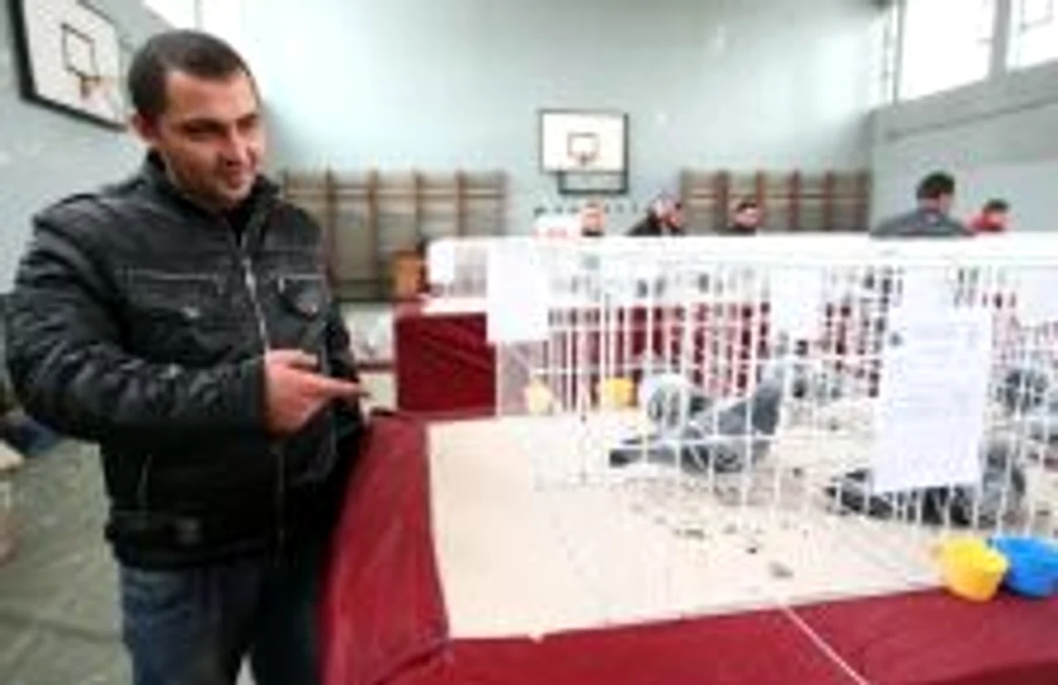 Sute de voiajori care au cucerit văzduhul au fost admiraţi şi aplaudaţi