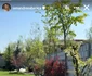 Așa arată curtea Andreei Bănică. Foto: Instagram 