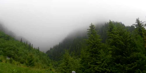 traseu busteni malaiesti foto dana mihai