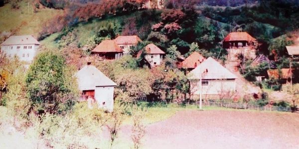 sat geamana apuseni