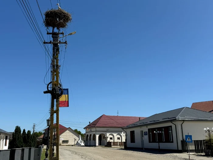 Steag din tablă în Sălsig. FOTO: Ion Pop