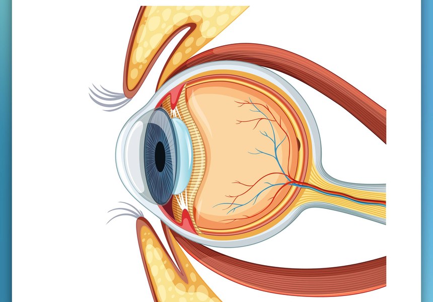 Cataracta tratată în mod natural. Flavius Țurcanu, optometrist și antrenor pentru sănătatea ochilor: „O dovadă că se poate“