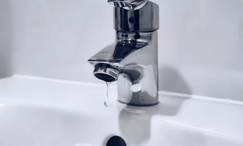 sasikan ulevik 8jQC5RHWuSE unsplash jpg