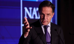 INSTANT NIF 2025 11 INQUAM Photos Octav Ganea jpg