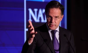 INSTANT NIF 2025 11 INQUAM Photos Octav Ganea jpg