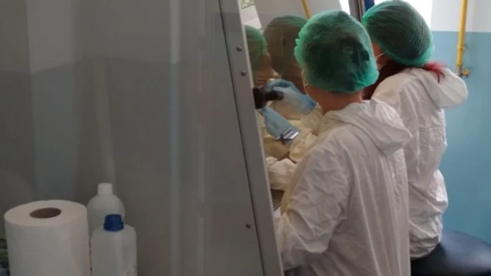 12 laboratoare vor prelucra testele prelevate de la bucureştenii care vor să plece în Grecia