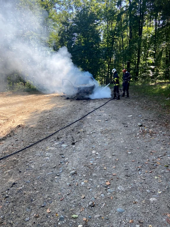 O maşină a luat foc într-o pădure din Argeş