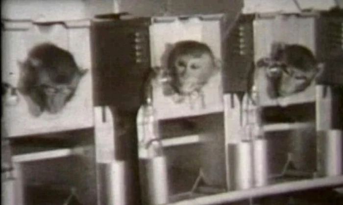 Imagini în premieră din timpul operaţiunii secrete “Cauldron”, din anii `50 jpeg