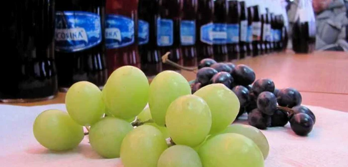 A fost ales cel mai bun vin alb şi roşu foto: Claudiu Dumitrache