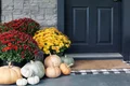 plante usa intrare istock jpg